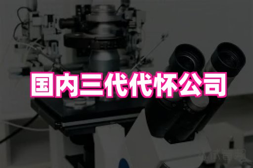 成都助孕网站 1
