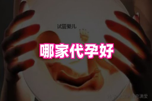 成都助孕网站 2