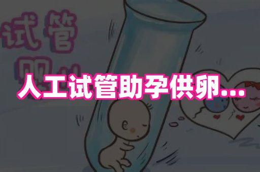 成都助孕网站 4